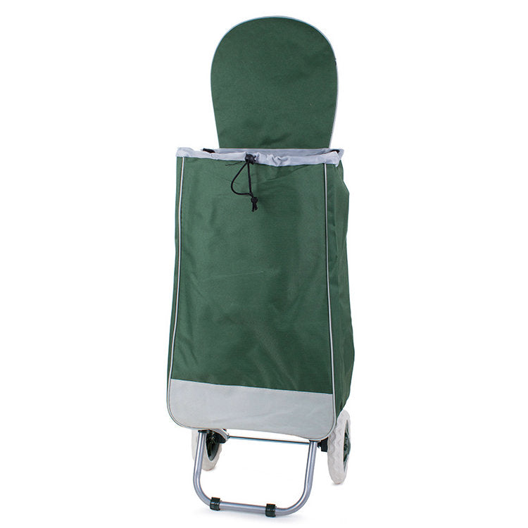 Einkaufstrolley EINKAUFSWAGEN Einkaufsroller Transportroller GRÜN