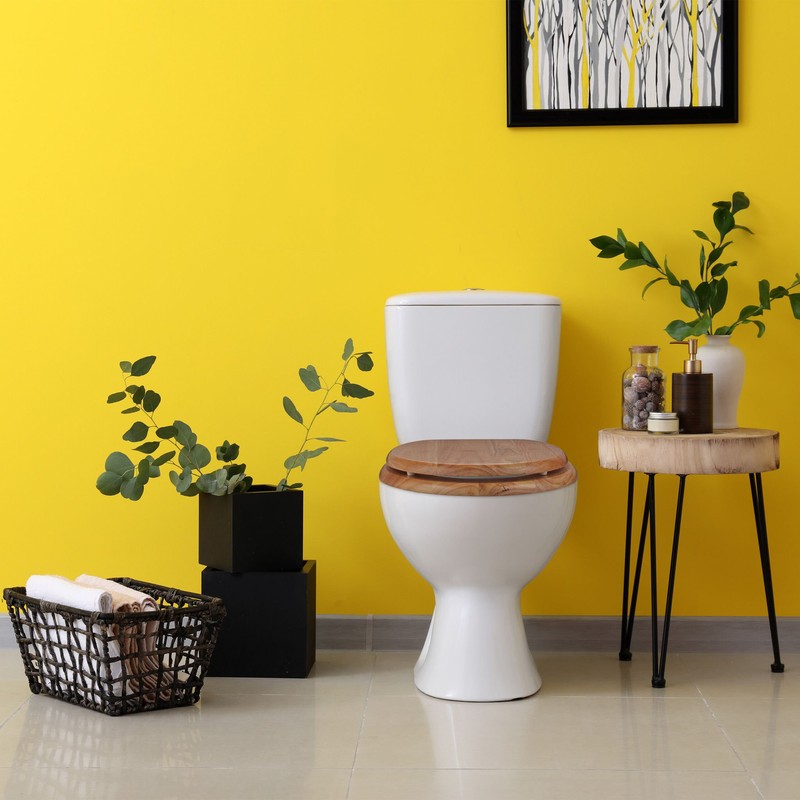 Luxus Toilettensitz WC-SITZ Toilettendeckel aus antibakteriellem Echt-Holz